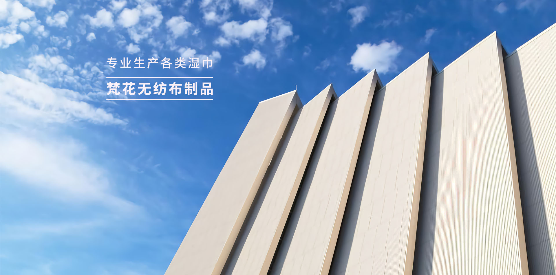 慈溪梵花無(wú)紡布制品有限公司